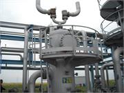 Banatski dvor slika16